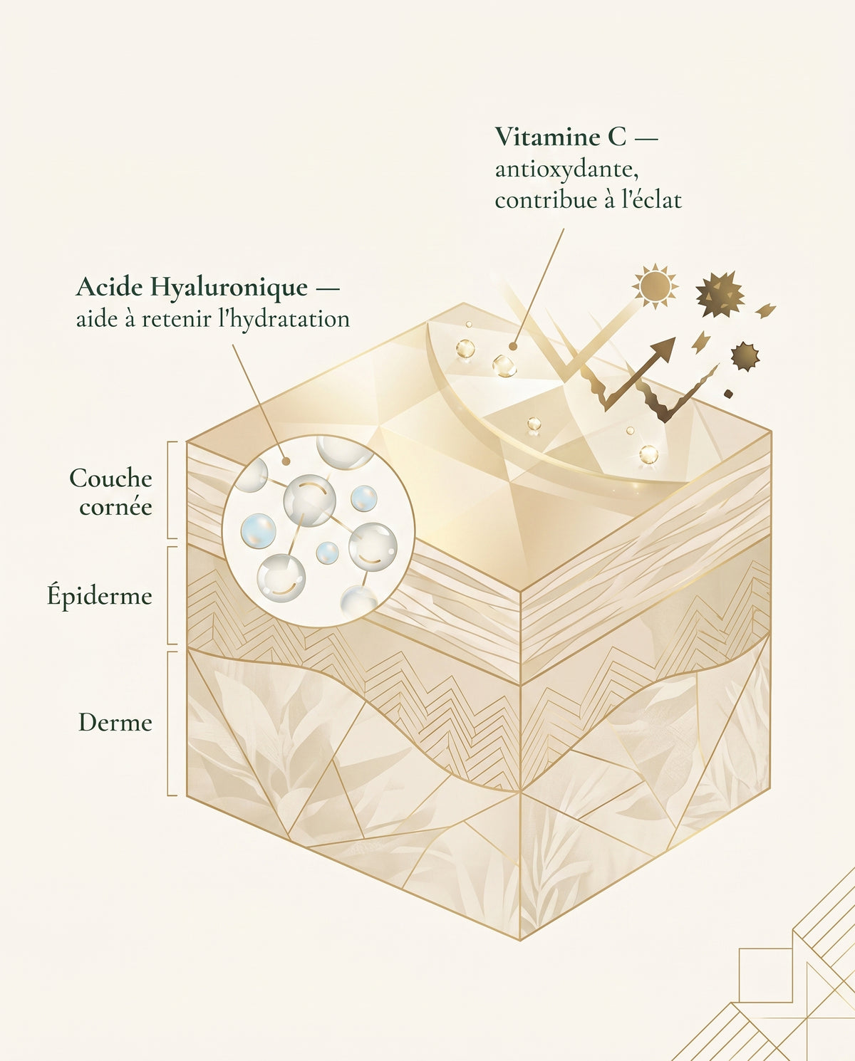 Sérum Booster d'Éclat Vitamine C & Acide Hyaluronique