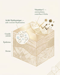 Sérum Booster d'Éclat Vitamine C & Acide Hyaluronique